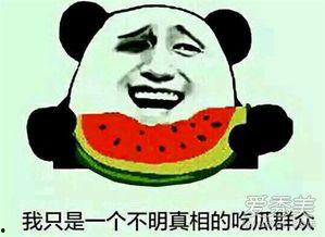 表情吃瓜是啥意思啊